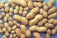 peanuts