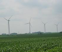 minnesotawindfarm.jpg