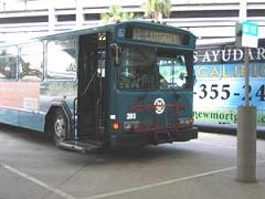 lynxbus.jpg