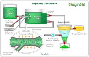 originoil-process-10a