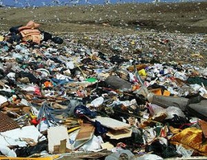 20080103_landfill