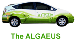 algaeus