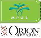 MPOB-Orion