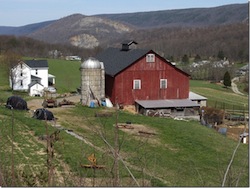 American Farm Photo: John Helmstetter Farm