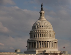 US Capitol at dusk photo Joanna Schroeder