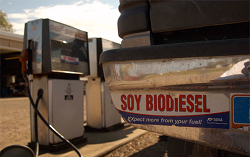 Soybiodiesel-bumper-sticker1