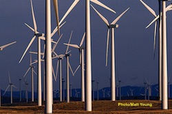 Utility owned Wind-farm