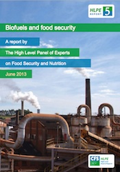 HLPE Biofuels and Security Report