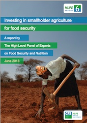HLPE Report Smallholder Ag,jpg