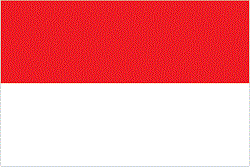 Indonesia flag1