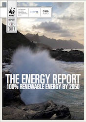 WWF The Energy Report cover