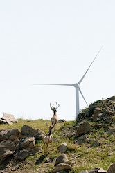 Campbell Hill Wind Power Project