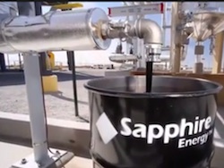 Sapphire Energy Algae Crude Oil