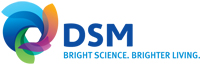 dsmlogo