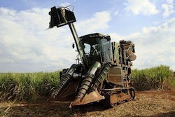 Sugarcane_harvesting_equipment_Piracicaba_  Mariordo Mario Roberto Duran Ortiz