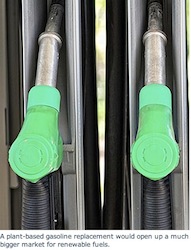 UC Davis process of biogasoline