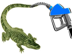 gator-fuel-web
