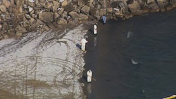 oil spill lake michigan