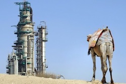 Saudi Arabia Oil Camel