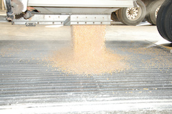 Corn delivery to Patriot Renewable Fuels