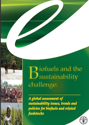 UN FAO Biofuels and the Sustainability Challenge