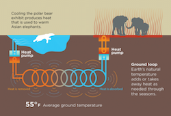 H_slinky-infographic-3