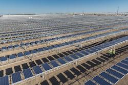 OCI Solar Power Alamo 4 Solar Farm