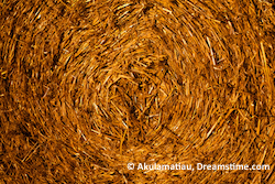 Wheat Straw Bale Abstract @Akulamatiau
