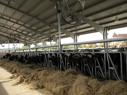 swregionaldairy1