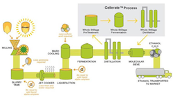 Cellerate Process