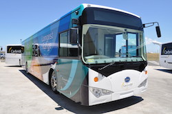 BYD Australia eBus