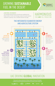 Growing_sustainable_sbrc_en