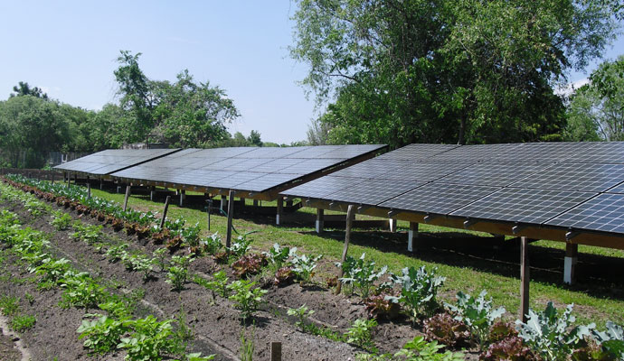 solar panels in ag