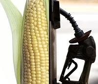 corn-ethanol-3