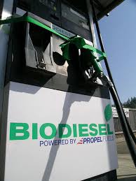 Biodiesel at the pump