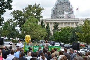 NCGA RFS Rally