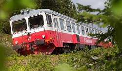 swedishtrain1