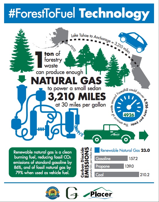 G4 ForesttoFuel Technology