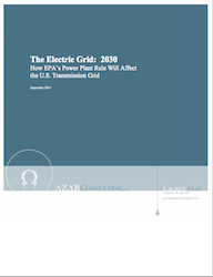 The Electric Grid 2030