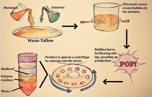 bubblebiodiesel1