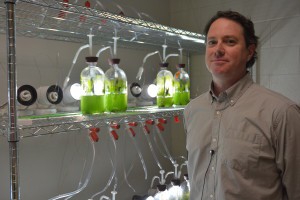 Dr. Timothy Devarenne studies the biofuel properties of a common green microalga called Botryococcus braunii in his lab at Texas A&M University. Photo Credit: Kathleen Phillips