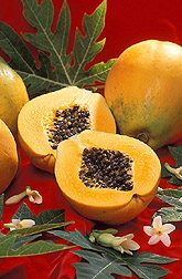 papayas