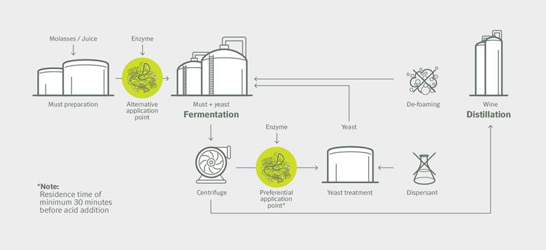 fermax_infographic_eng