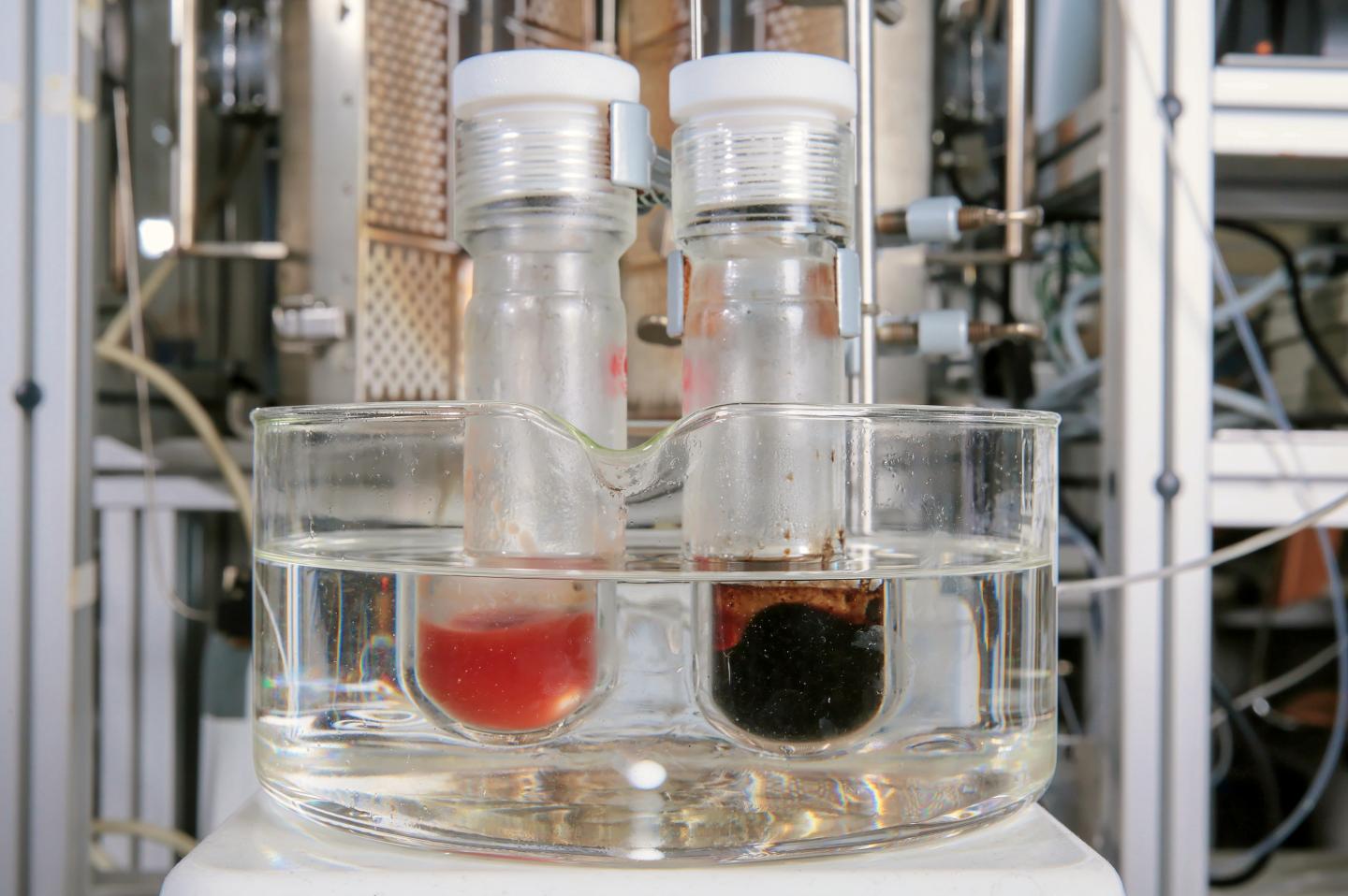 This image shows lignin extraction with (left) and without formaldehyde (right). Photo credit: Alain Herzog/EPFL